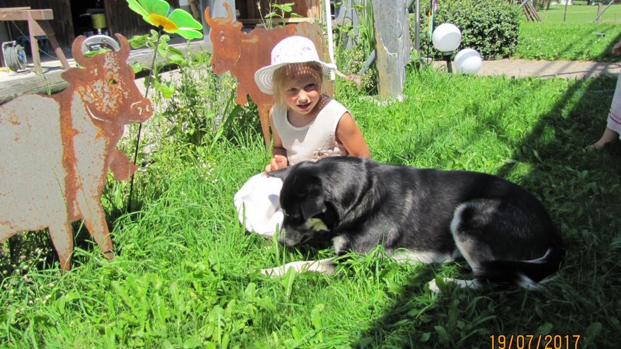 Unser Haus- und Hofhund Unser Haus- und Hofhund